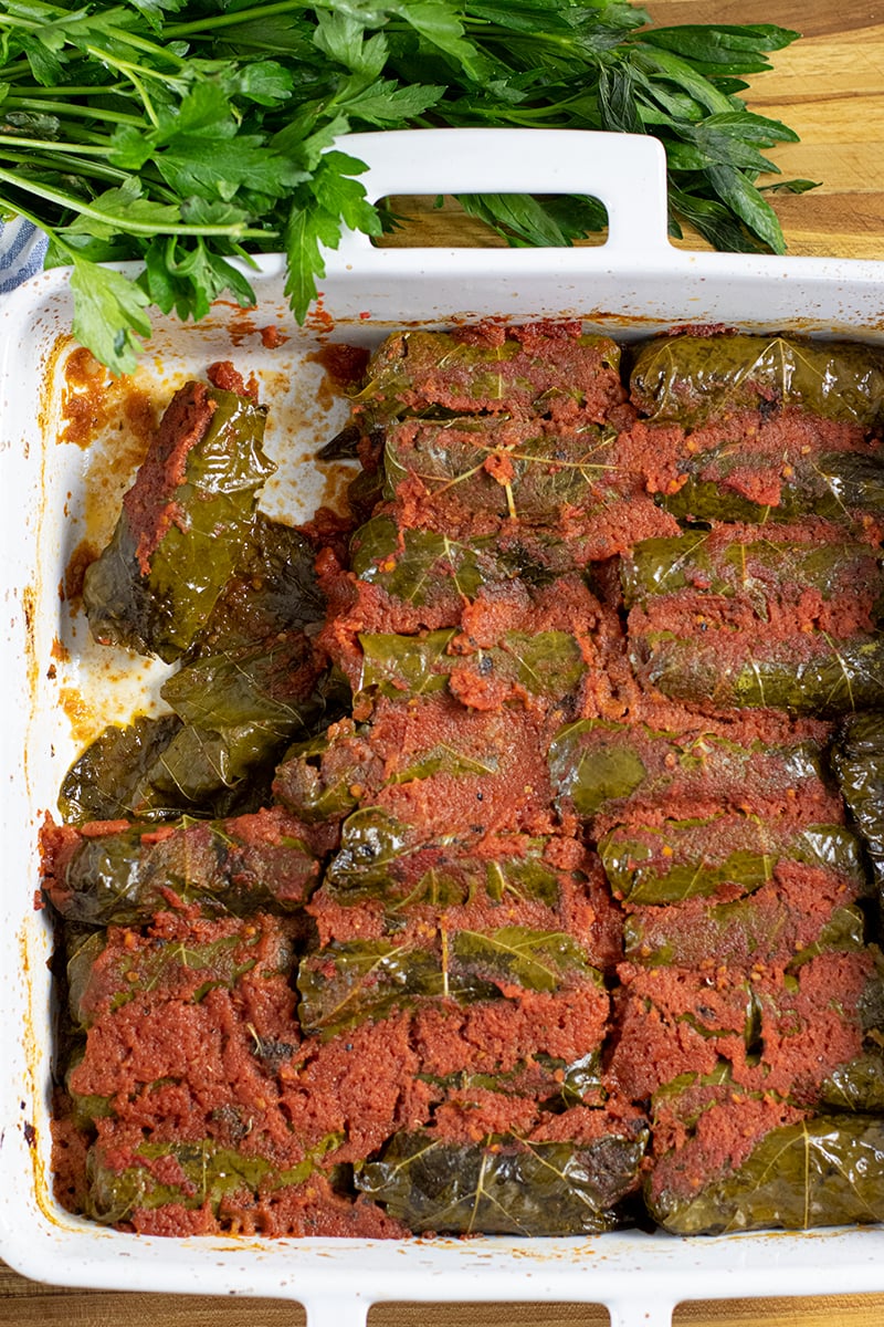 Greek Stuffed Grape leaves in Tomato Sauce Dolmadakia me Domata